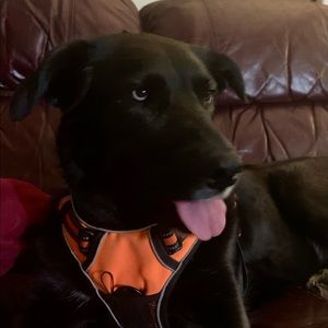 Meet your Posher, Alicia